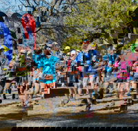 Duval Dam Buster Trail Run - Hotel WA