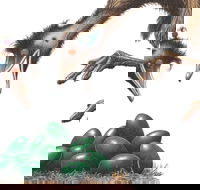 Edward the Emu - Hotel WA