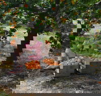 Fruit Bottling Sessions at Rayner's Orchard - Hotel WA