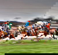 Grafton July Racing Carnival - Hotel WA