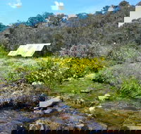 Hedonistic Hiking's Falls Creek to Hotham - Hotel WA