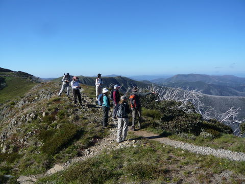 Hedonistic Hiking's Falls Creek To Hotham - Hotel WA 1