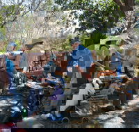 Herring Island Summer Arts Festival