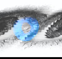 Joe Orton's What the Butler Saw - Hotel WA