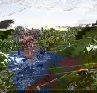 Kingsdale Wines - Cellar Door Wine Tastings - Hotel WA