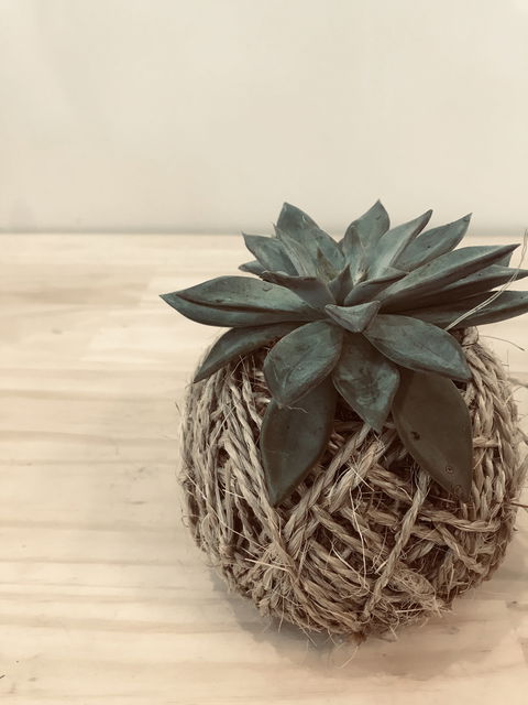 Kokedama Workshop - Hotel WA 0