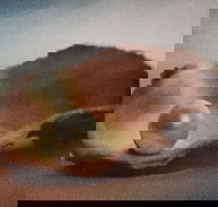 Lecture Cancelled  ADFAS  Lecture Half-Day - Patricia Law speaking on Pearls and Diamonds - Hotel WA