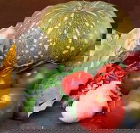 Lismore Organic Market - Hotel WA