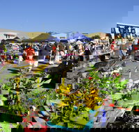 Maclean Community Monthly Markets