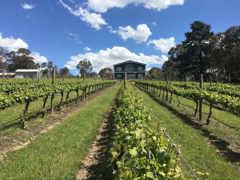 Mortimer's Diploma Of Taste - Hotel WA 0