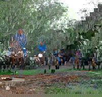 Night Horse Ride and Dinner - Hotel WA