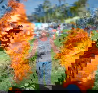 Outback Festival - Hotel WA