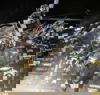 PBR Hawkesbury Stampede