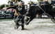 PBR Hawkesbury Stampede - thumb 2