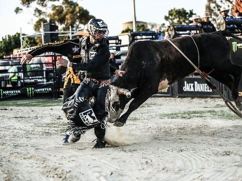 PBR Hawkesbury Stampede - Hotel WA 2