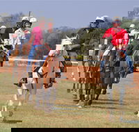 Pride of the West Races 2020 - Hotel WA