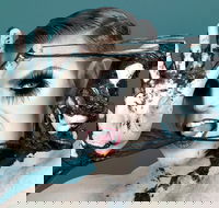 Reuben Kaye Comes Out to Play - Hotel WA