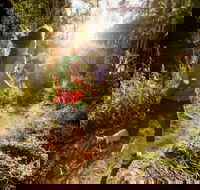 Run Dungog - Hotel WA