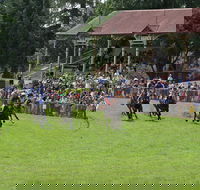 Tumut Derby Day - Hotel WA