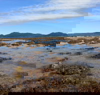 Walk to the Reef - Hotel WA