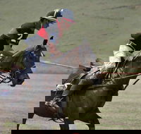 Wirragulla Annual Polo Tournament - Hotel WA