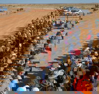 28th Marree Australasian CAMEL CUP 3 July 2021 - Hotel WA