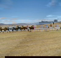 Adaminaby Cup Race Day - Hotel WA