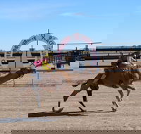 Bedourie Camel and Pig Races and Camp oven Cook-off - Hotel WA