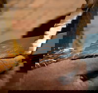 Blacksmithing 2 Day Project Workshop - Hotel WA