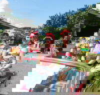 Burdekin Auto Festival - Hotel WA