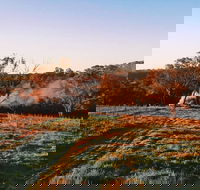 Cargo Road Wines Grande Fiamma