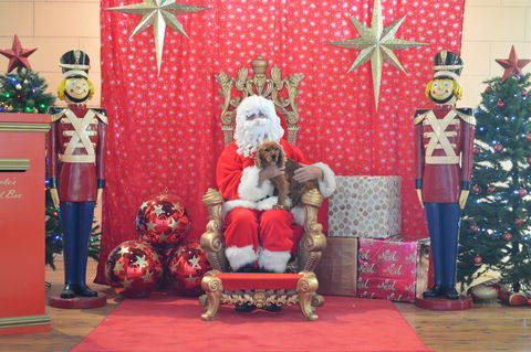 Community Christmas Party And Carols By Candlelight - Hotel WA 2