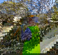 Conservation Volunteers Australia Townsville - Beach Scrub Conservation - Hotel WA
