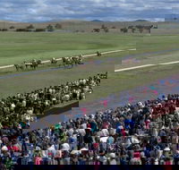 Cooma Sundowners Cup - Hotel WA