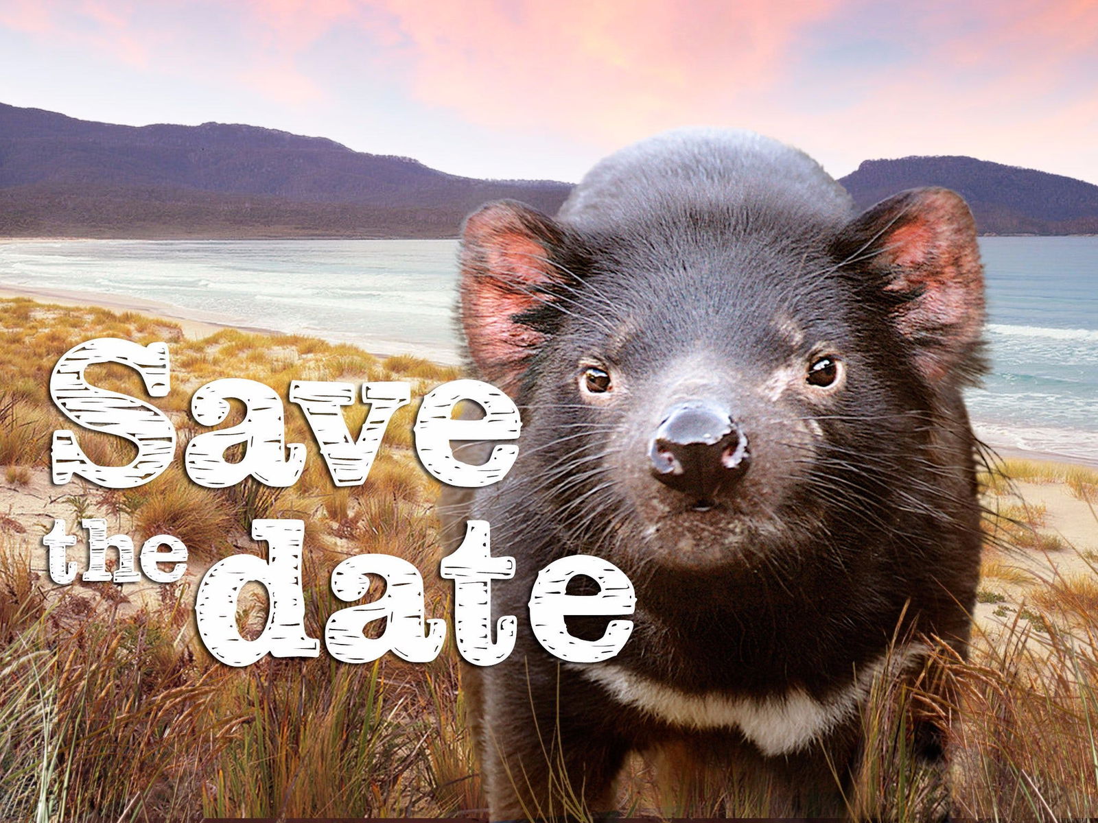 Charlotte Cove TAS Hotel WA