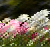 Floriade Reimagined - Hotel WA