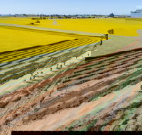 Gears and Beers Festival - Hotel WA