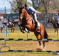 Glen Innes Pastoral and Agricultural Show - Hotel WA