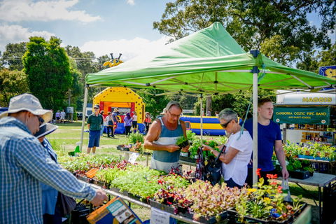 Huskisson Market - Hotel WA 0