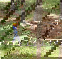 July 2020 Holidays- Go Wild at the Mt Lofty Adventure Hub - Hotel WA