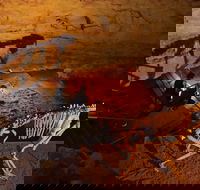 Naracoorte World Heritage Festival and Run - Hotel WA