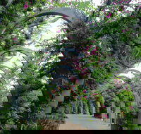 Photography Class / Tour of Brisbane