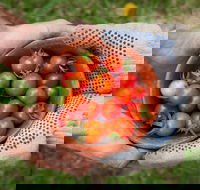 Riverina Producers Market - Hotel WA