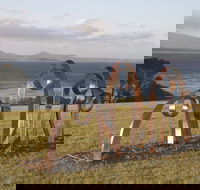 Sculpture Bermagui - Hotel WA