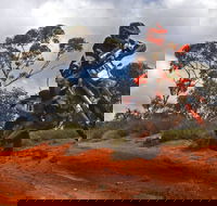 Sunraysia Safari Rally