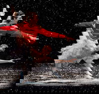 The Nutcracker and Don Quixote - Hotel WA