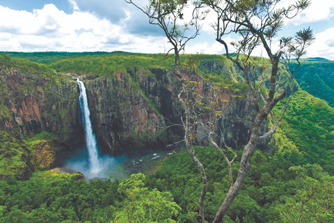 The Garden Clubs Of Australia Inc AGM And Biennial Convention 2021 - Hotel WA 1
