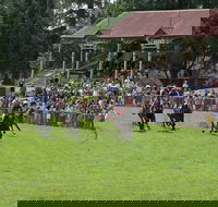 Tumut Boxing Day Races - Hotel WA