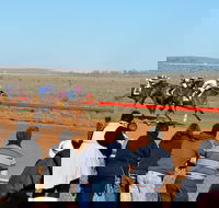 2020 Quorn Cup - Hotel WA