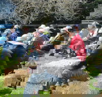 All Season Cold Climate Organic Vegetable Growing - Hotel WA